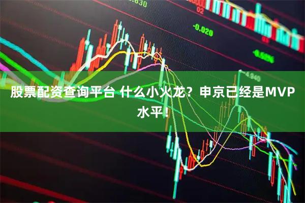 股票配资查询平台 什么小火龙？申京已经是MVP水平！
