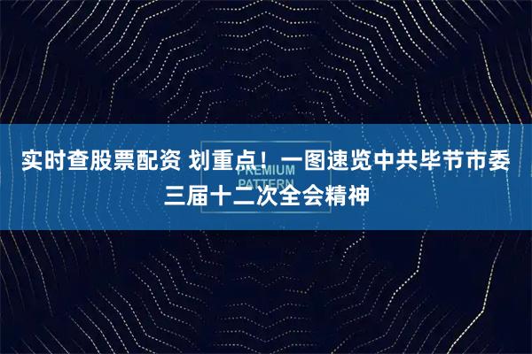 实时查股票配资 划重点！一图速览中共毕节市委三届十二次全会精神
